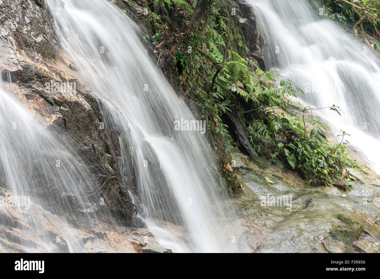 Waterfall close up at tropical forest Stock Photo - Alamy