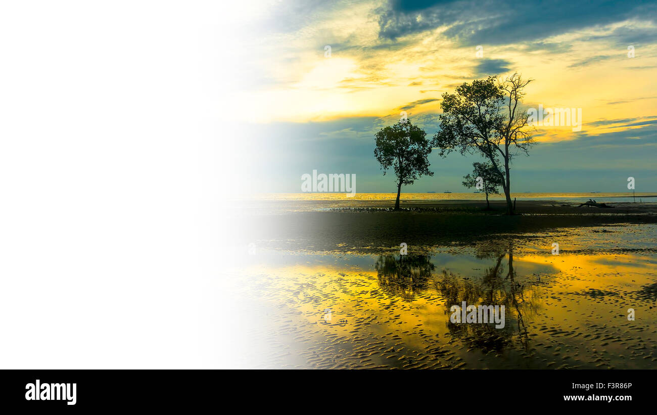 Tree silhouette with orange sunset reflection Stock Photo - Alamy