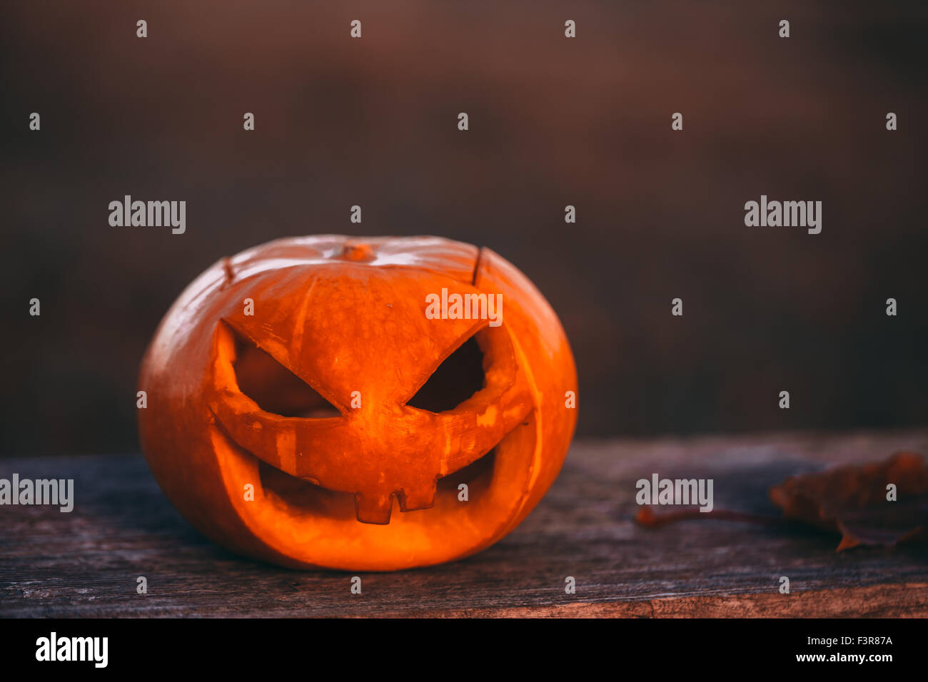 Halloween pumpkin photo in forest Stock Photo - Alamy