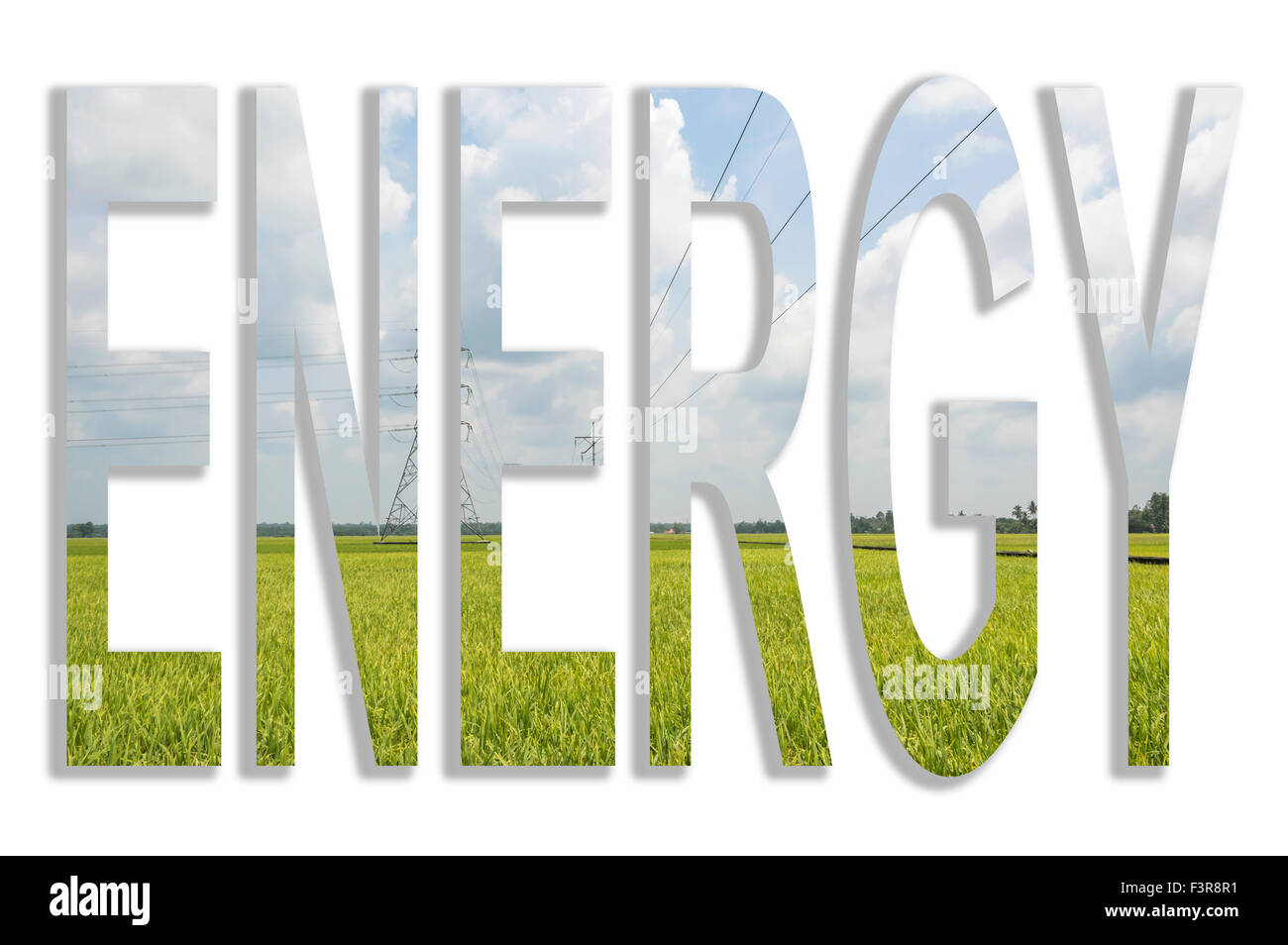 electricity high voltage power post in paddy field Stock Photo Alamy