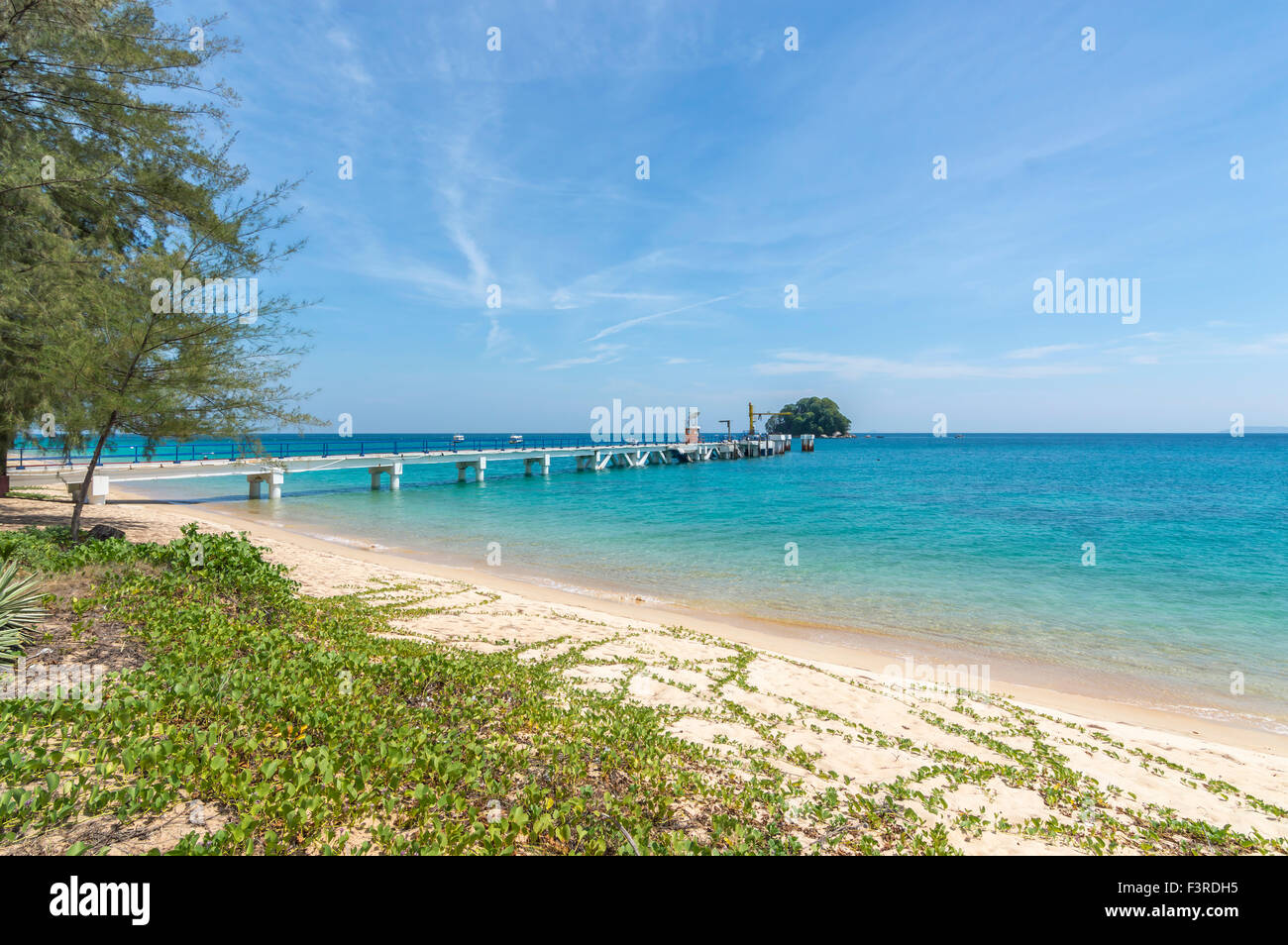 Beach with green tree and blue skies Stock Photo - Alamy