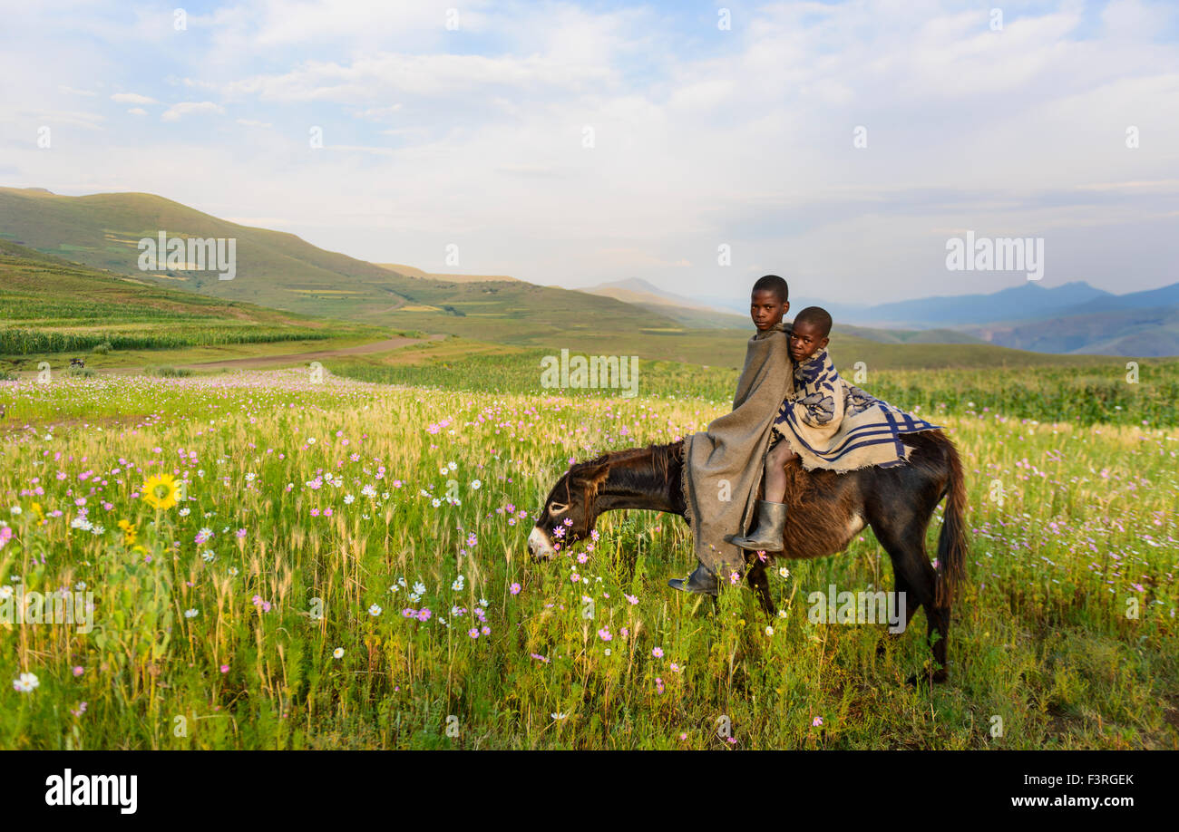 Basotho boys, Lesotho, Africa Stock Photo