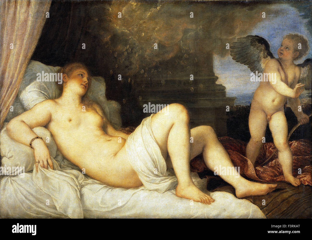 Eng yirtilgan mushuk