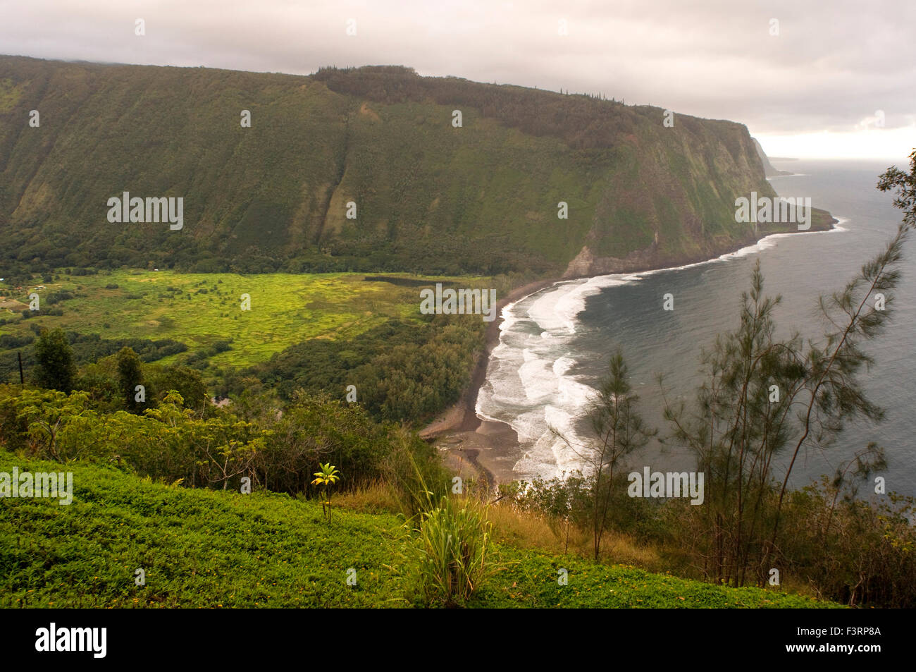 Waipi'o Valley panoramic views. Big Island. Hawaii. Waipiʻo Valley is a valley located in the Hamakua District of the Big Island Stock Photo