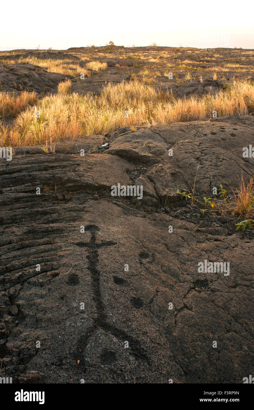 Pu'u Loa Petroglyphs. Hawai'i Volcanoes National Park. Big Island. Hawaii. Pu`u Loa, translated as the 'long hill'i or 'Hill-(of Stock Photo