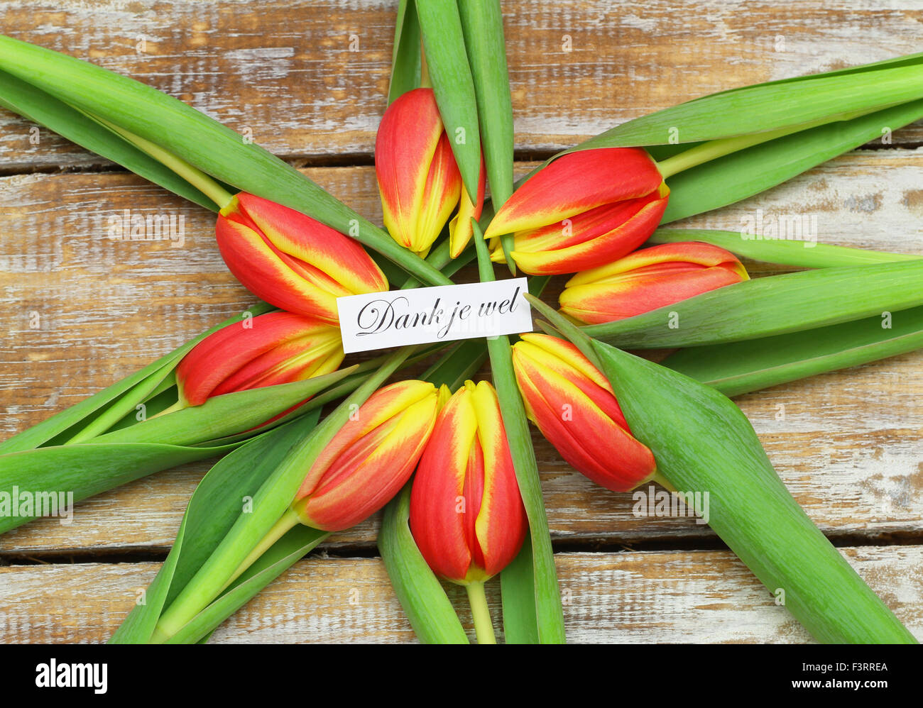 dank-je-wel-which-means-thank-you-in-dutch-card-with-red-and-yellow