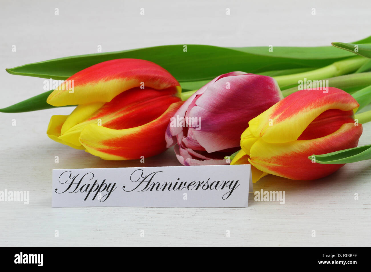 Happy Anniversary card with colorful tulips Stock Photo - Alamy