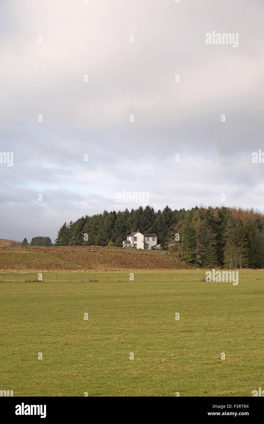 House and forest, North Tyne Valley, Northumberland, England, UK Stock
