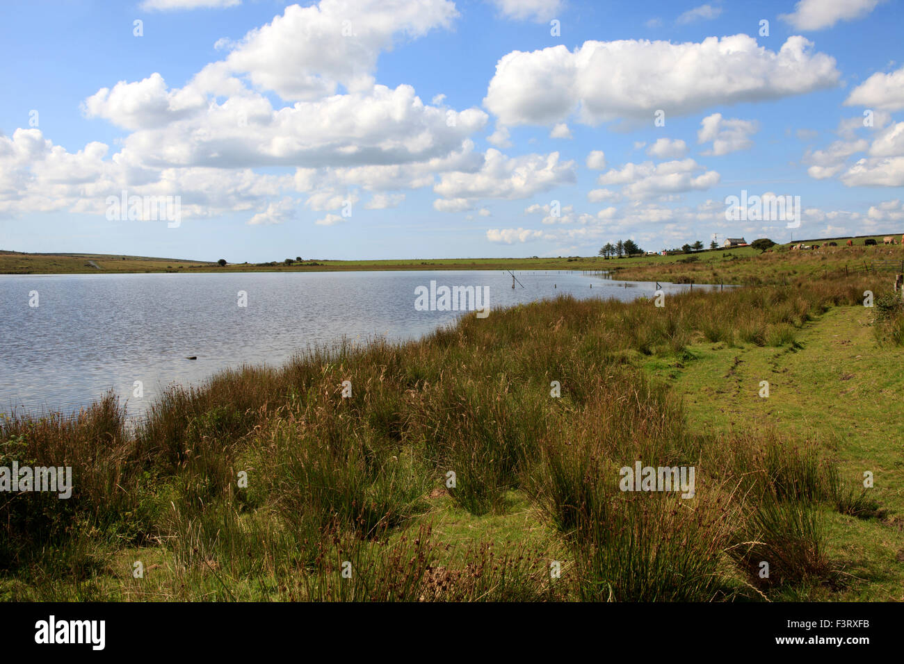 Dozmary Pool on Bodmin Moor, Cornwall, England, United Kingdom Stock ...