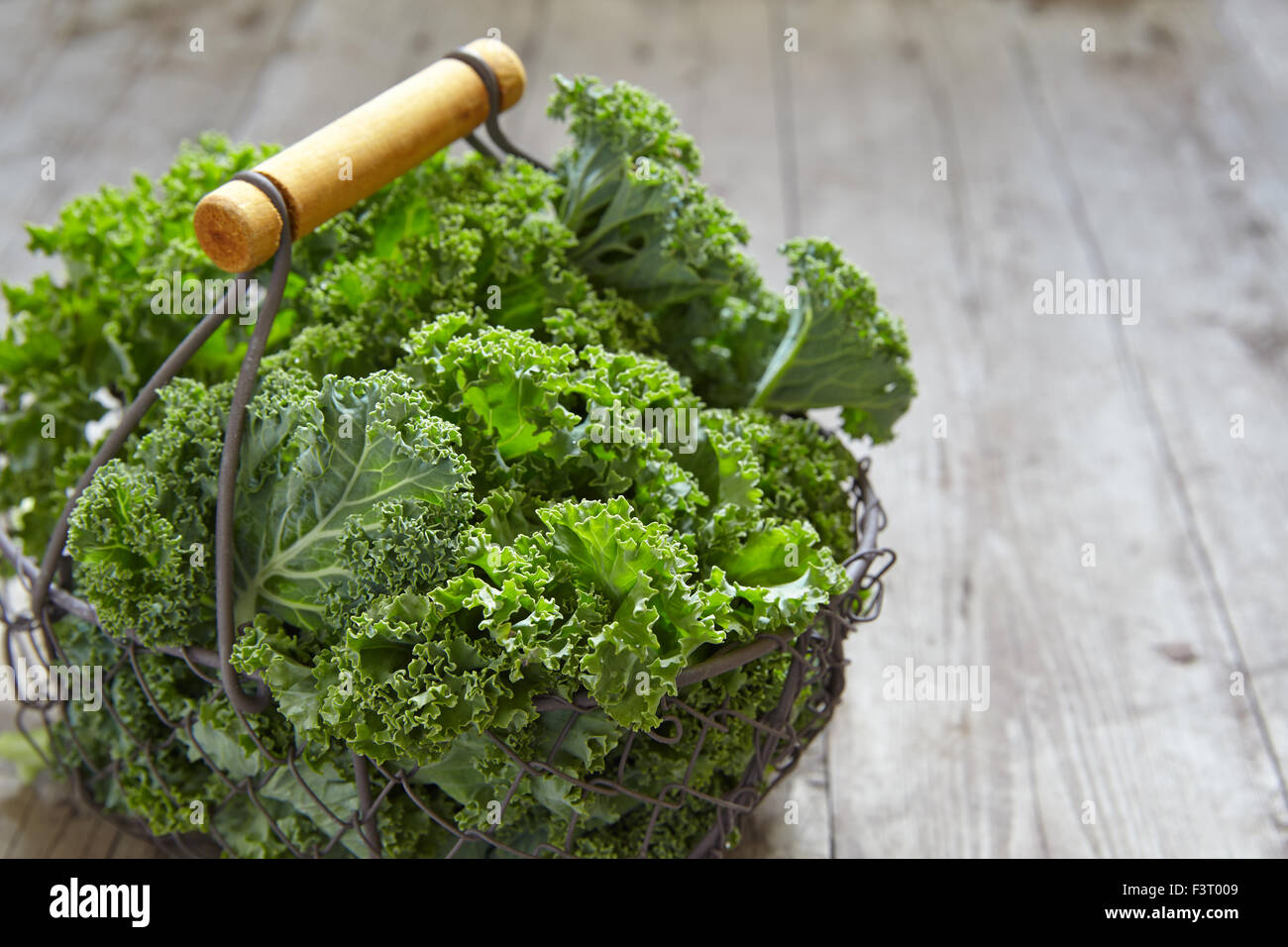 Fresh green kale leaves Stock Photo