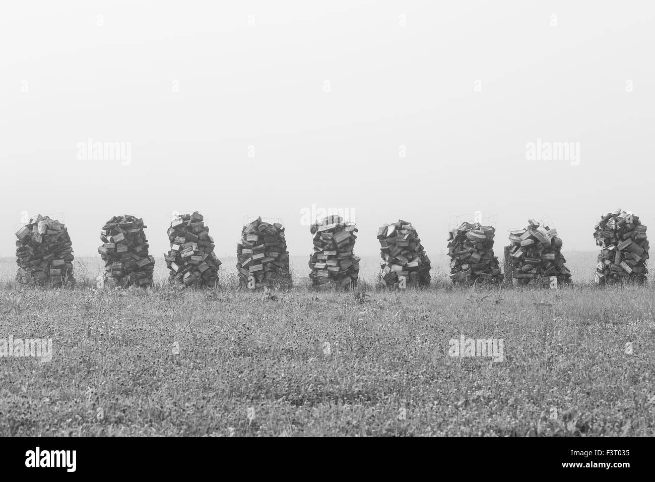 Wood drying on air for winter season in mist. Stock Photo