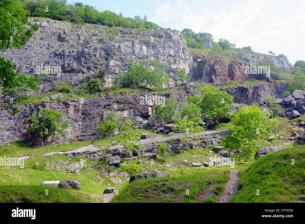 The limestone Cheddar Gorge in the Mendip Hills near the village of Cheddar in Somerset. Stock Photo