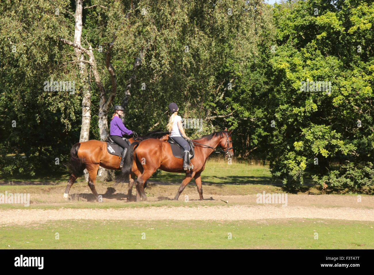 Horse Riding in Wimbledon Common London summer 2015 Stock Photo