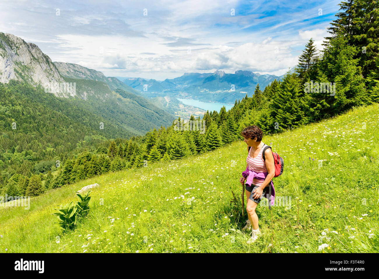 Woman hiker on a hiking trail in Alpine mountains region Stock Photo ...