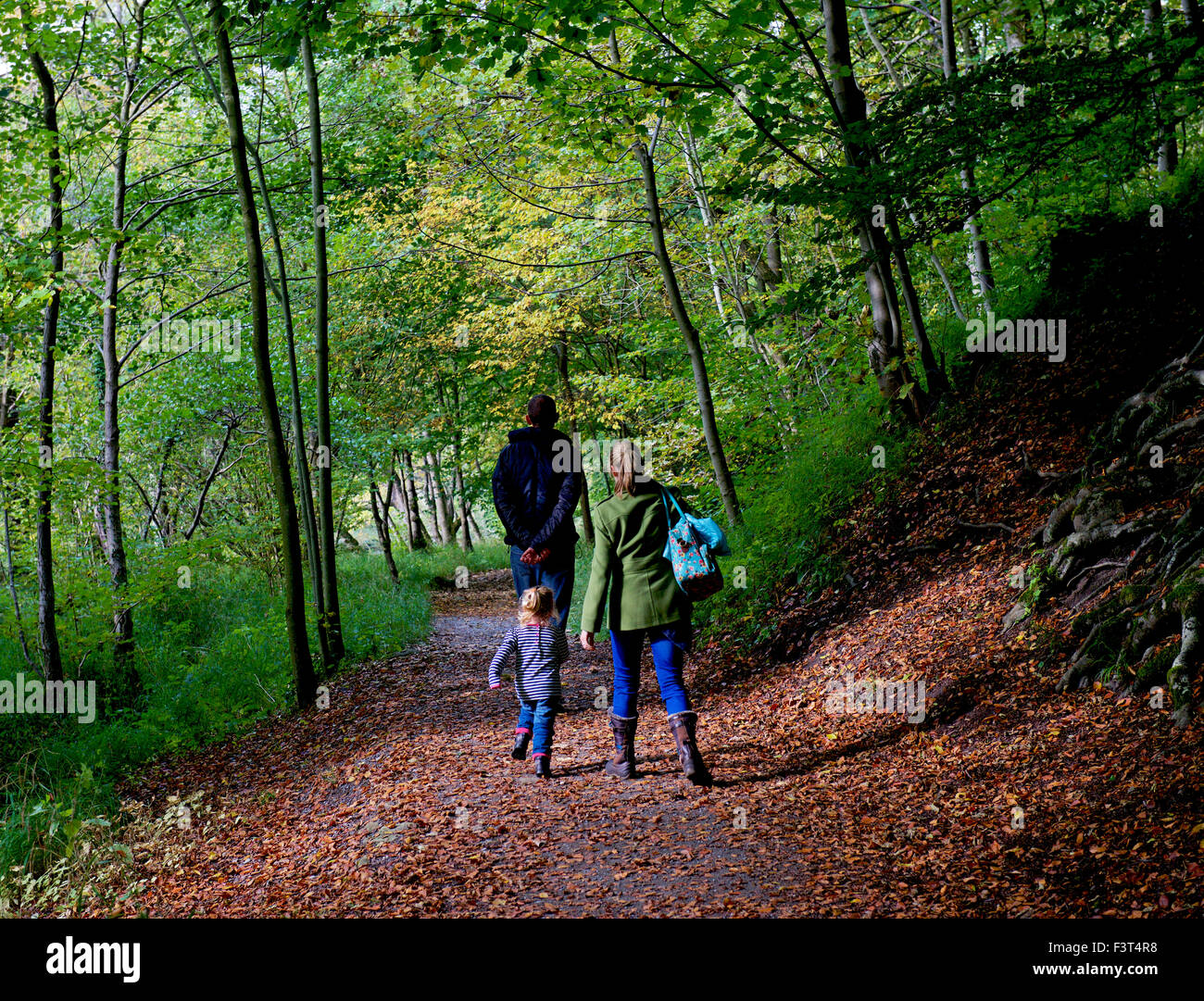Family walking in Bolton Wood, Wharfedale, North Yorkshire, England UK Stock Photo