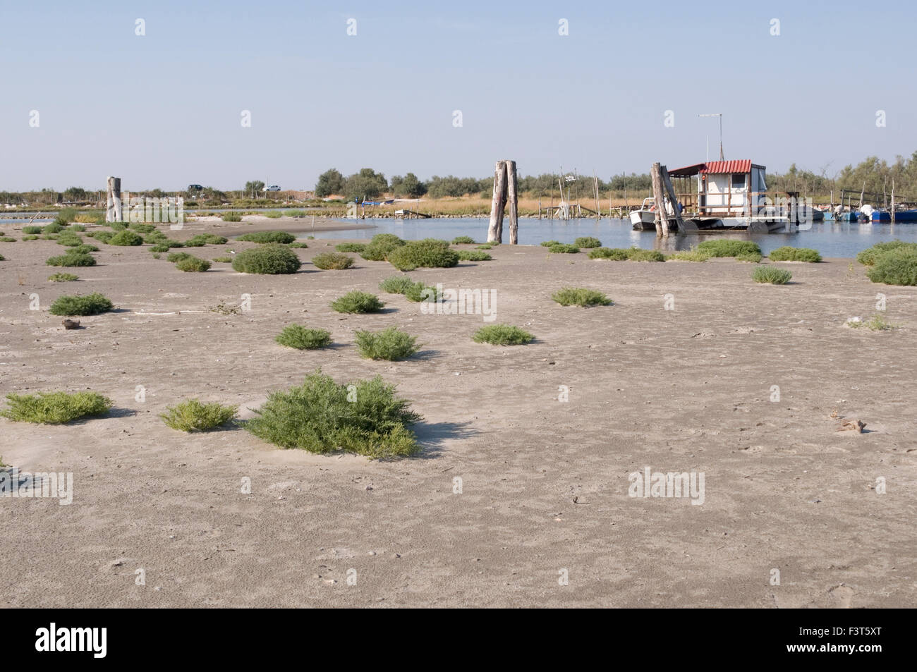 Po river delta park, Rovigo province, Veneto, Italy Stock Photo