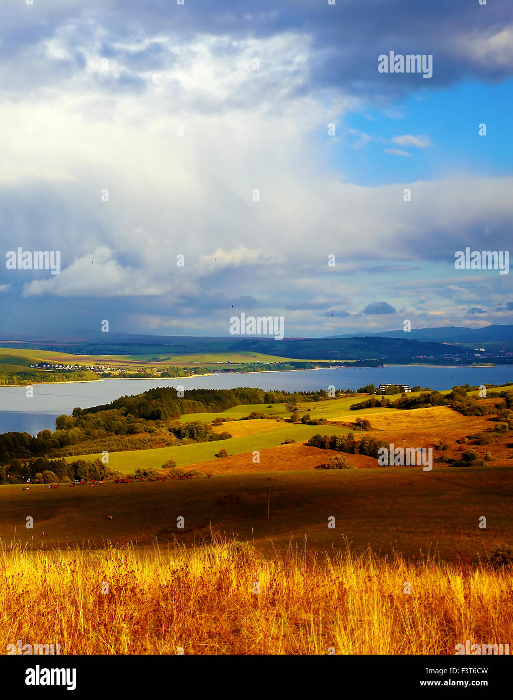 Beautiful landscape, green and yellow meadow and lake with mountain in ...