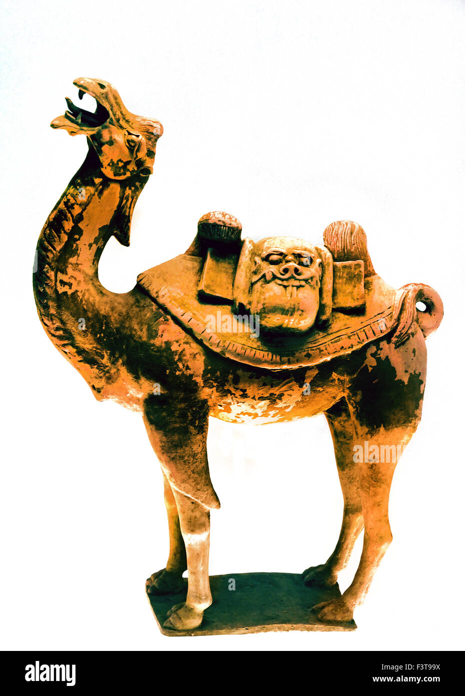 Colored Pottery Camel 618 - 907 AD Tang Han Dynasty ( Shanghai Museum of ancient Chinese art ) China Stock Photo