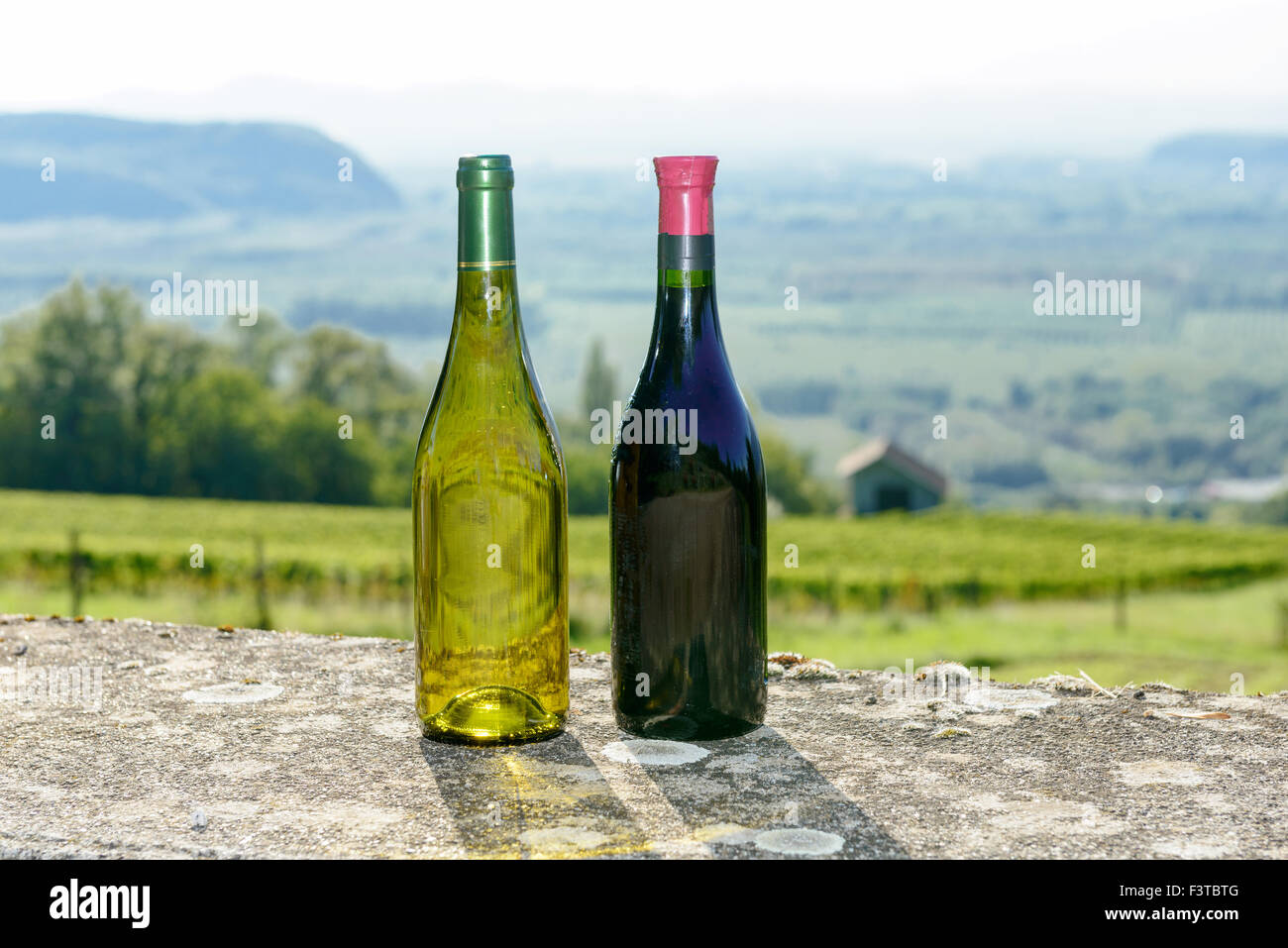 two Bottles of red and white wine in front of vineyards Stock Photo Alamy