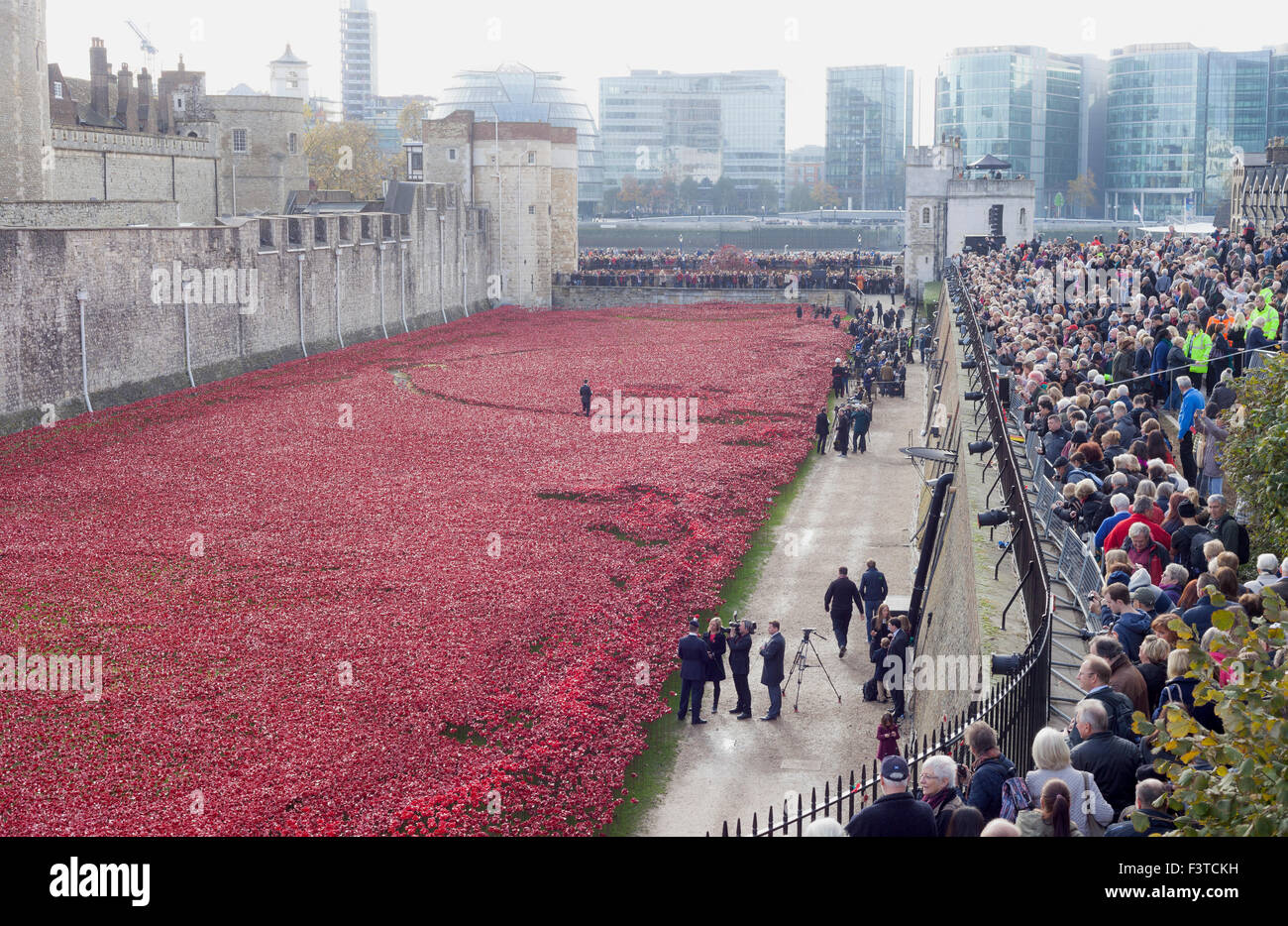 Remembrance celebrations 2014. 'Blood swept sees and land of red', an art installation by Paul Cummins at the Tower of London. Stock Photo