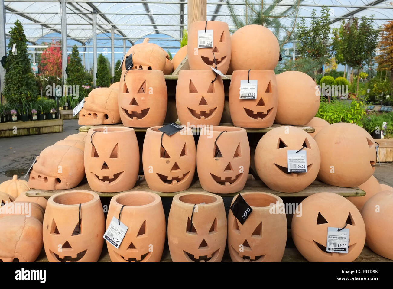 Garden Centre interiors with pumpkin terracotta pot planters for