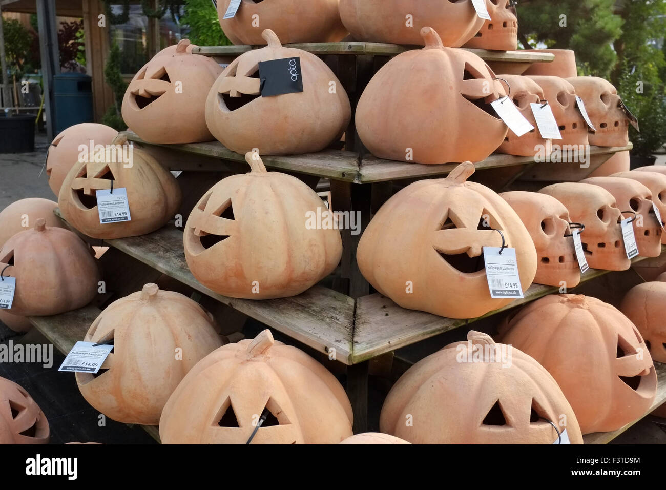Garden Centre interiors with pumpkin terracotta pot planters for
