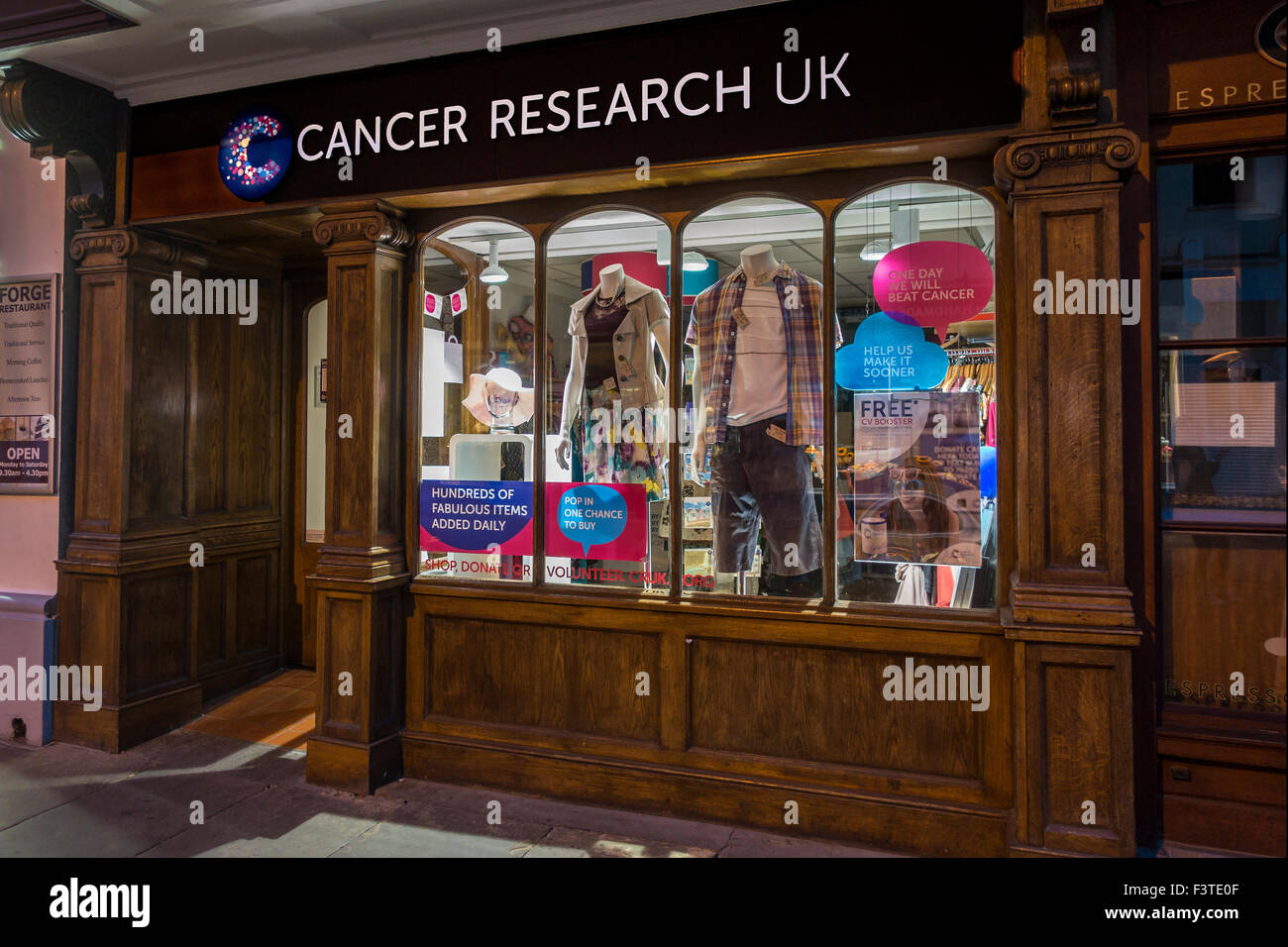 Cancer Research High Street Charity Shop Night Time Window Lights Stock Photo