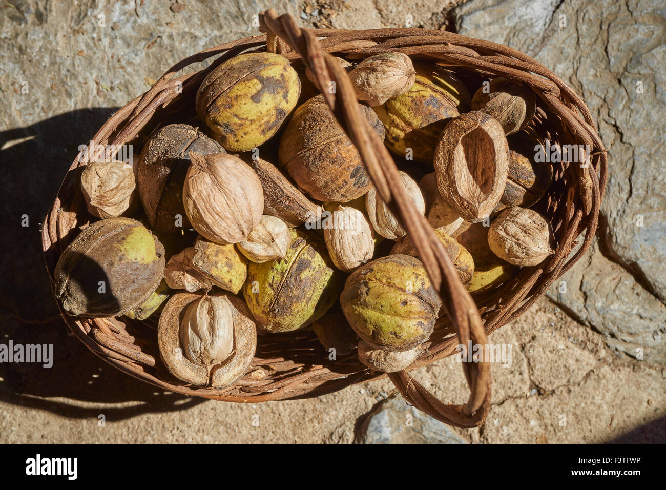 Recreated early American basket of mixed nuts Stock Photo