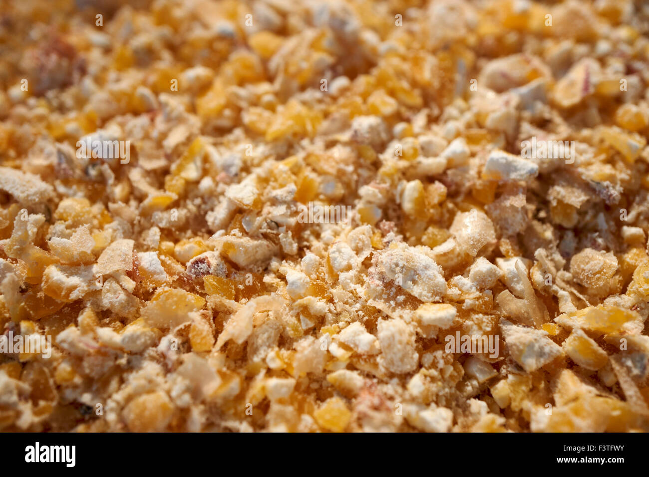 fresh ground corn grits Stock Photo
