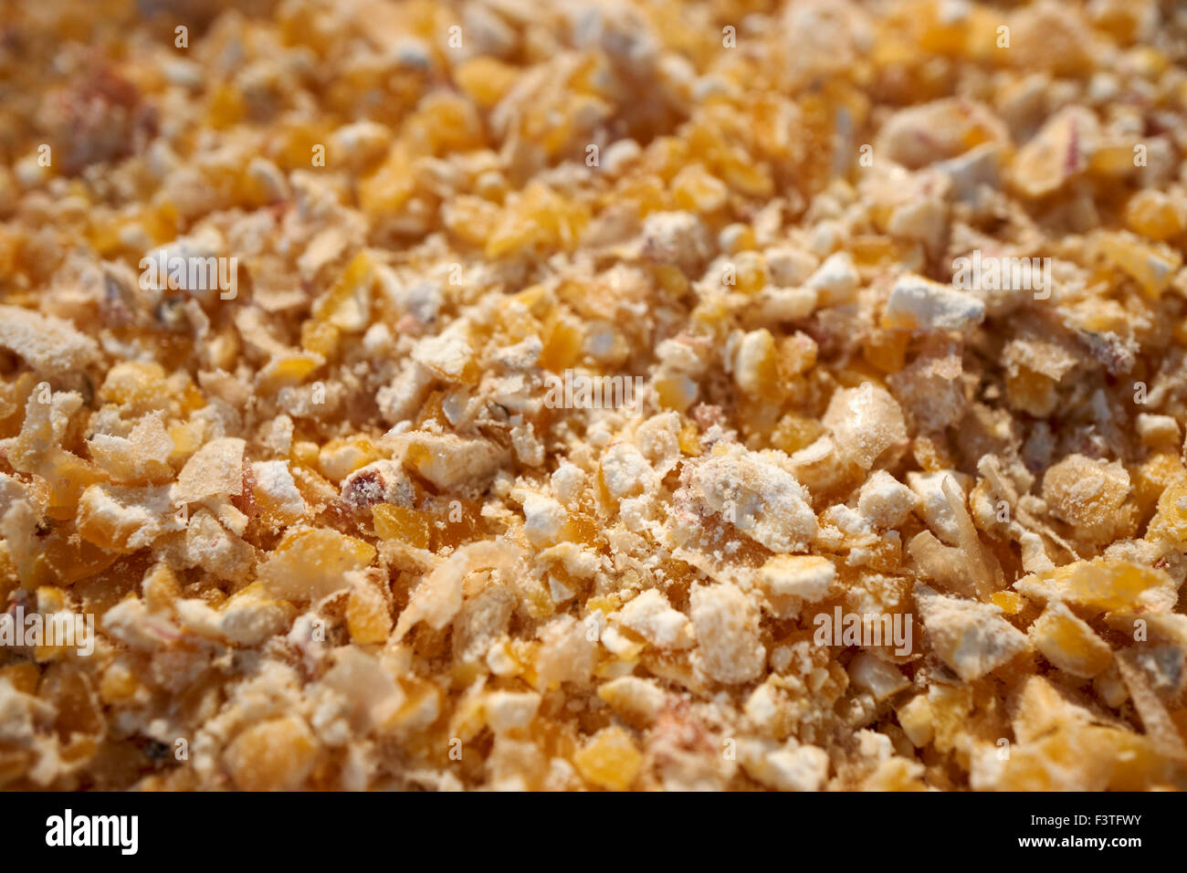 fresh ground corn grits Stock Photo Alamy
