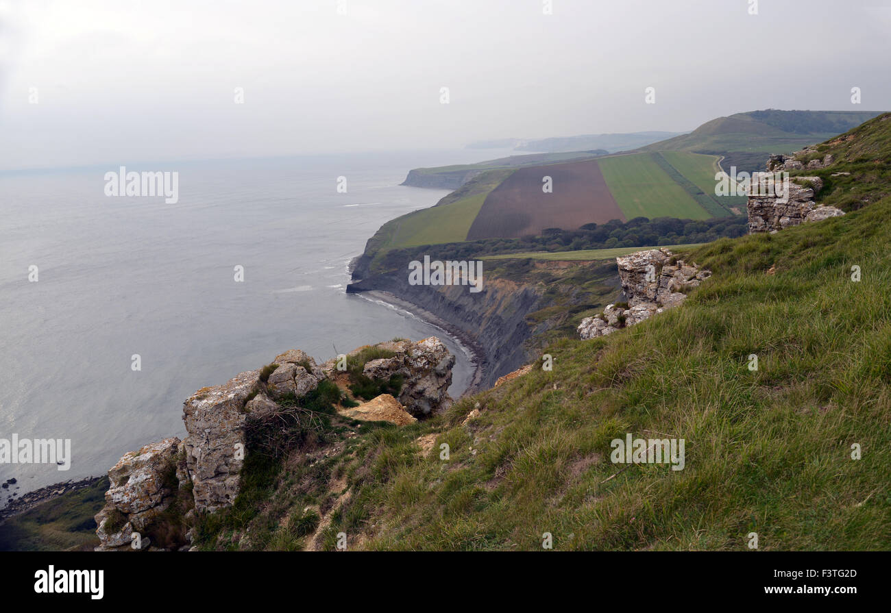 View towards swyre head near Chapmans Pool Dorset  take in the spectacular Jurassic coastal scenery. Stock Photo