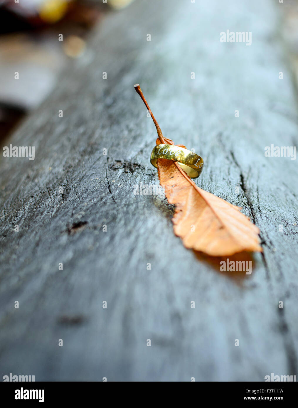 Gold leaf up close hi-res stock photography and images - Alamy