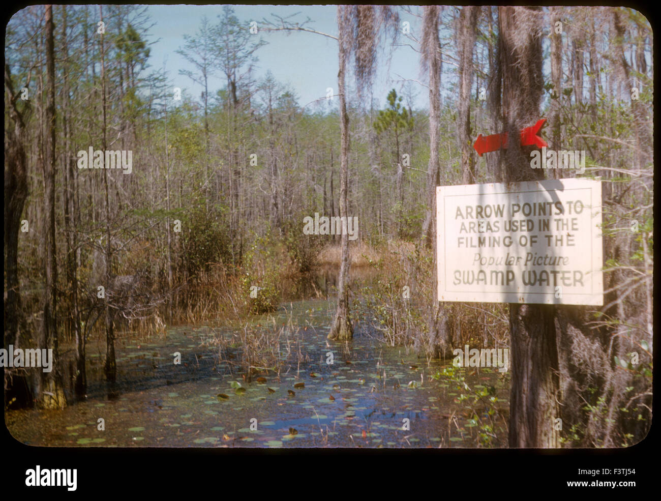 Image of Okefenokee Swamp, Waycross, where Jean Renoir filmed