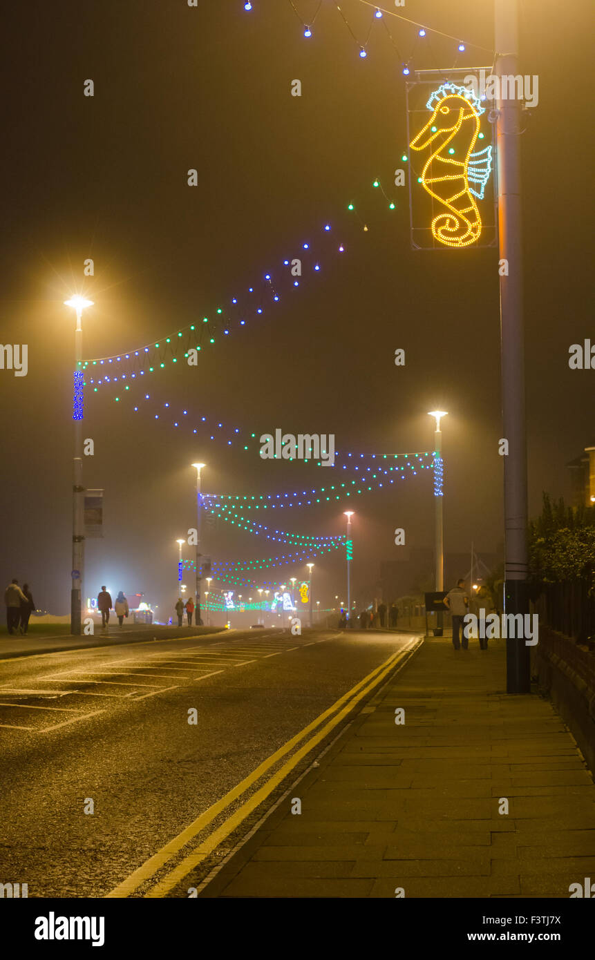 Photograph of Sunderland Illuminations 2015 Along Whitburn Road (A183