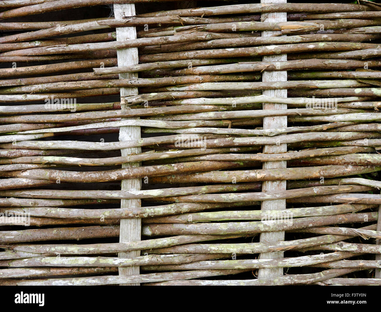 Wattle wall made by weaving pliable hazel wood around uprights. This was often covered in a clay/straw/dung plaster called daub. Stock Photo