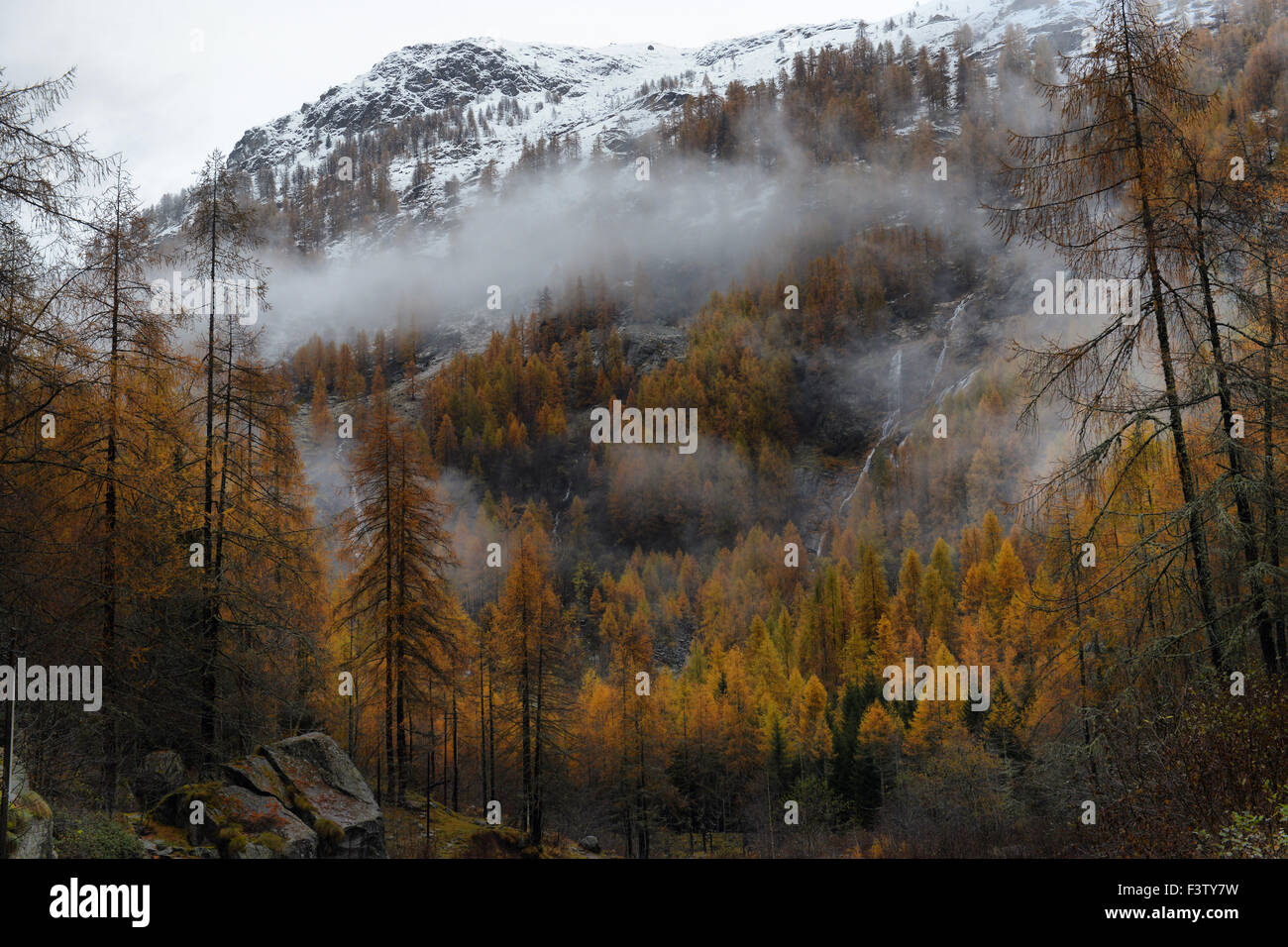 autumn landscape in the Alps Stock Photo - Alamy