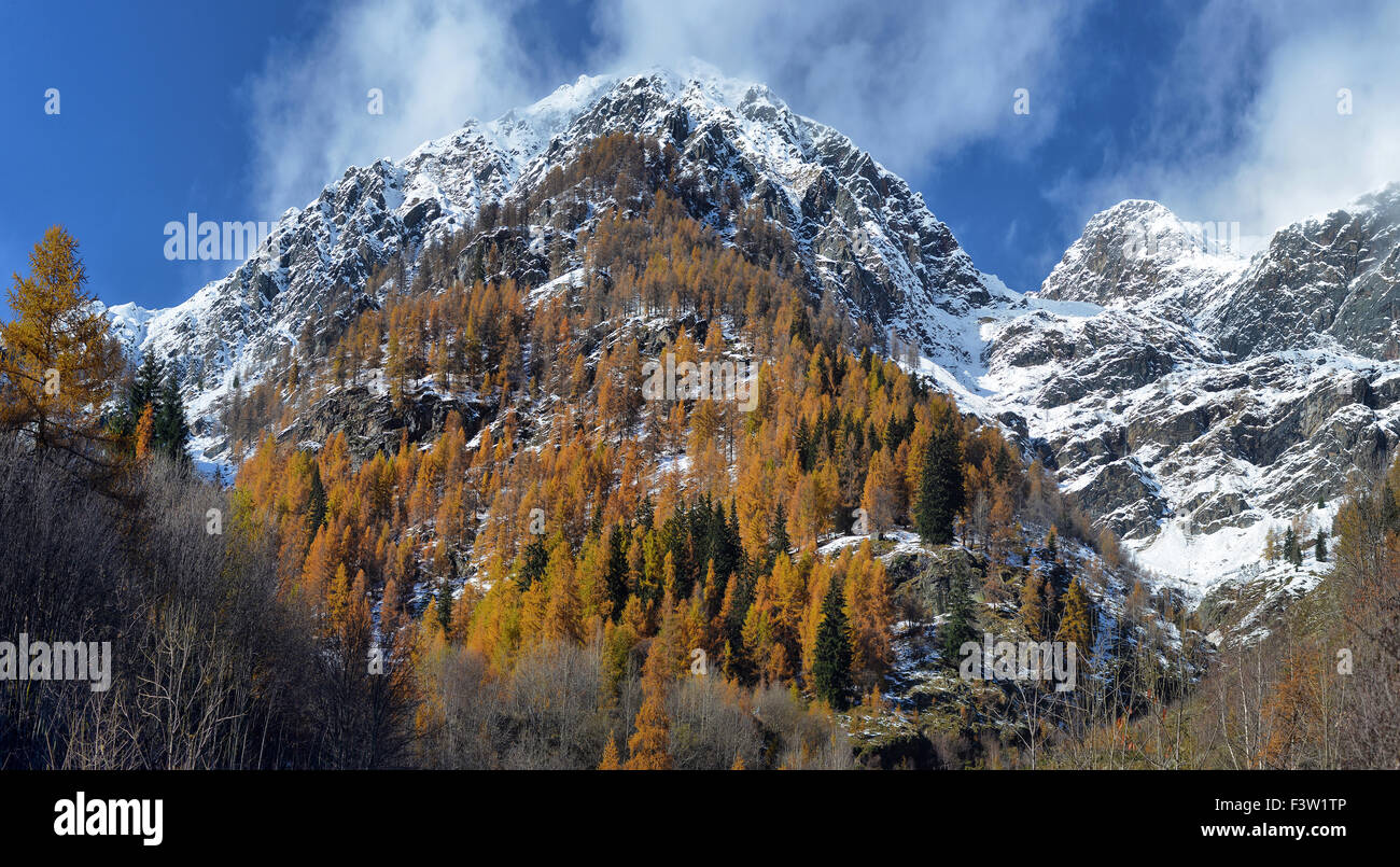 autumn landscape in the Alps Stock Photo - Alamy