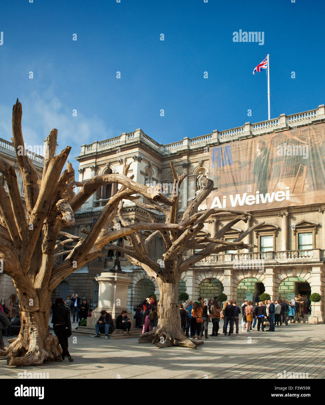 Royal Academy of Arts, Ai Weiwei tree exhibition. Stock Photo