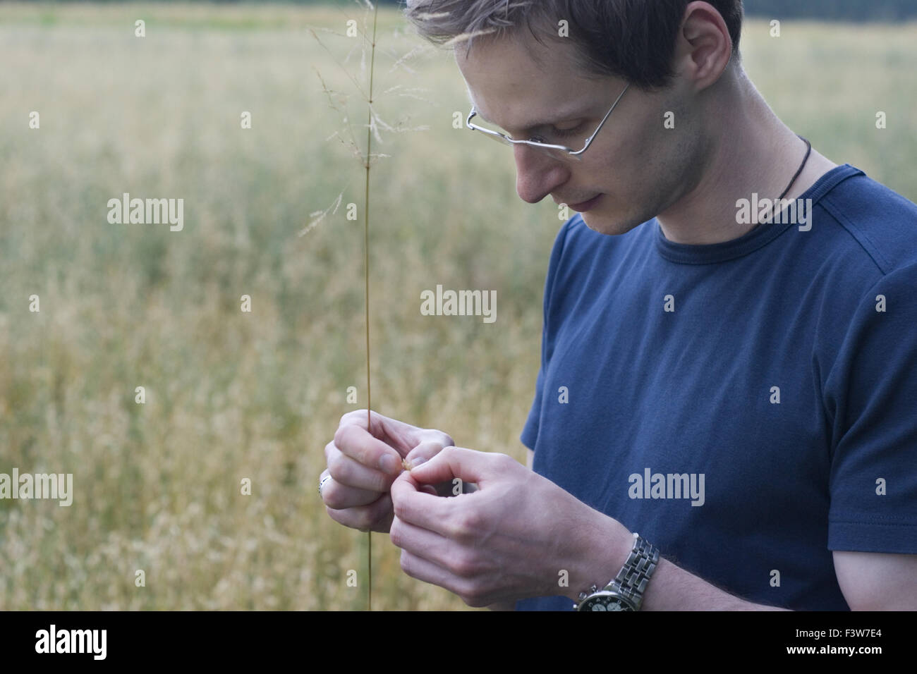 man stands on oat field Stock Photo