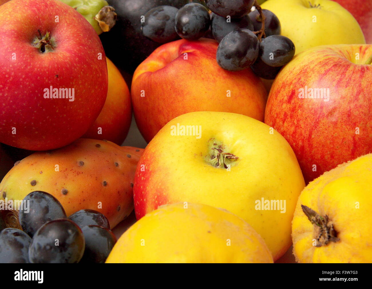 Obst 1 Stock Photo