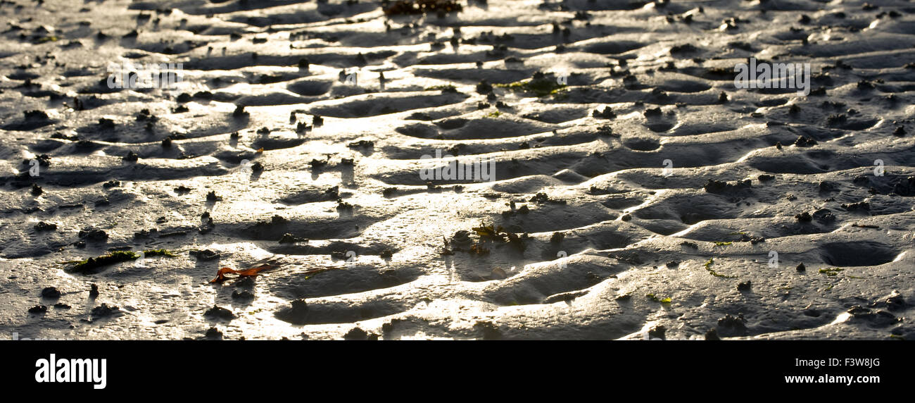 Low Tide Stock Photo