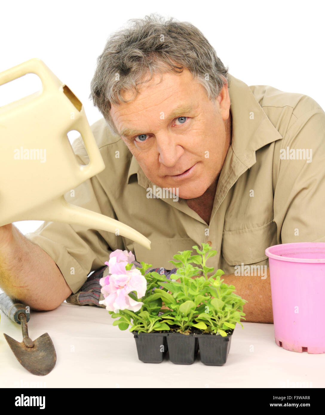 Watering Seedlings Stock Photo Alamy