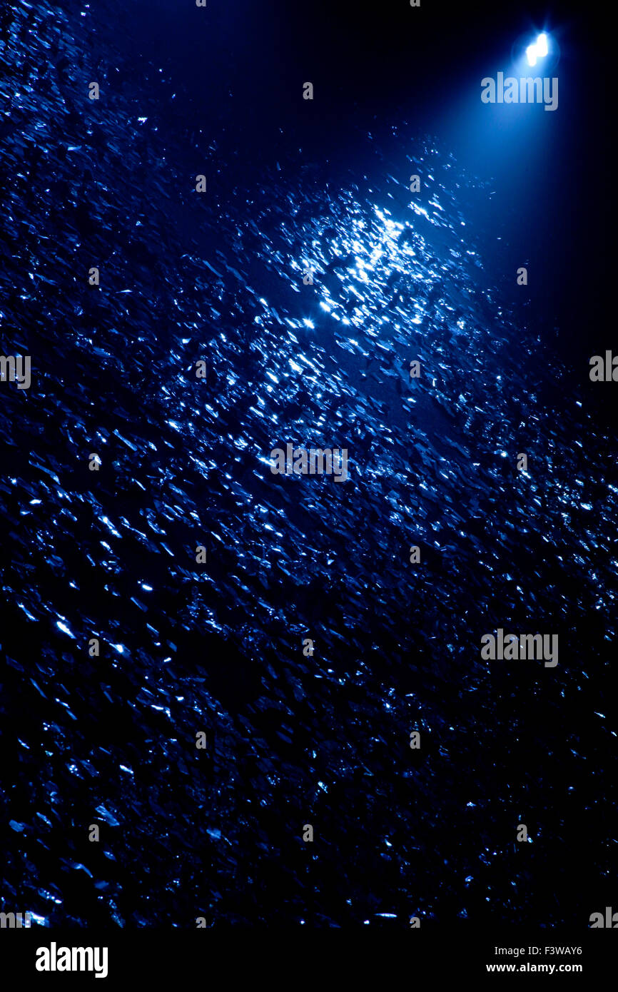 Disco ball light effect Stock Photo Alamy