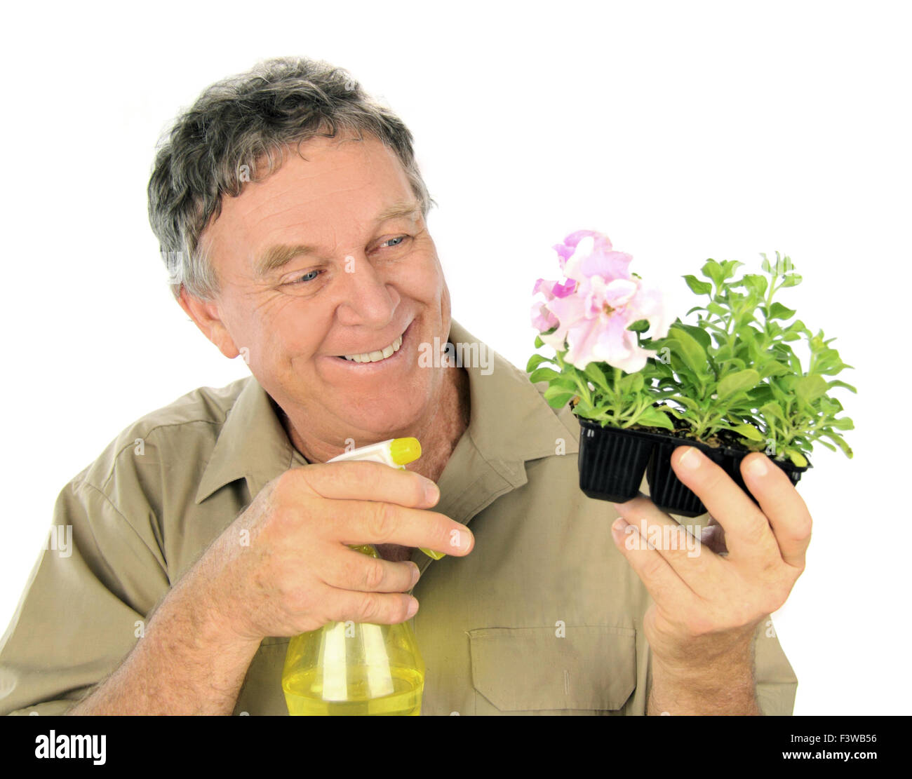 Nurseryman Sprays Seedlings Stock Photo