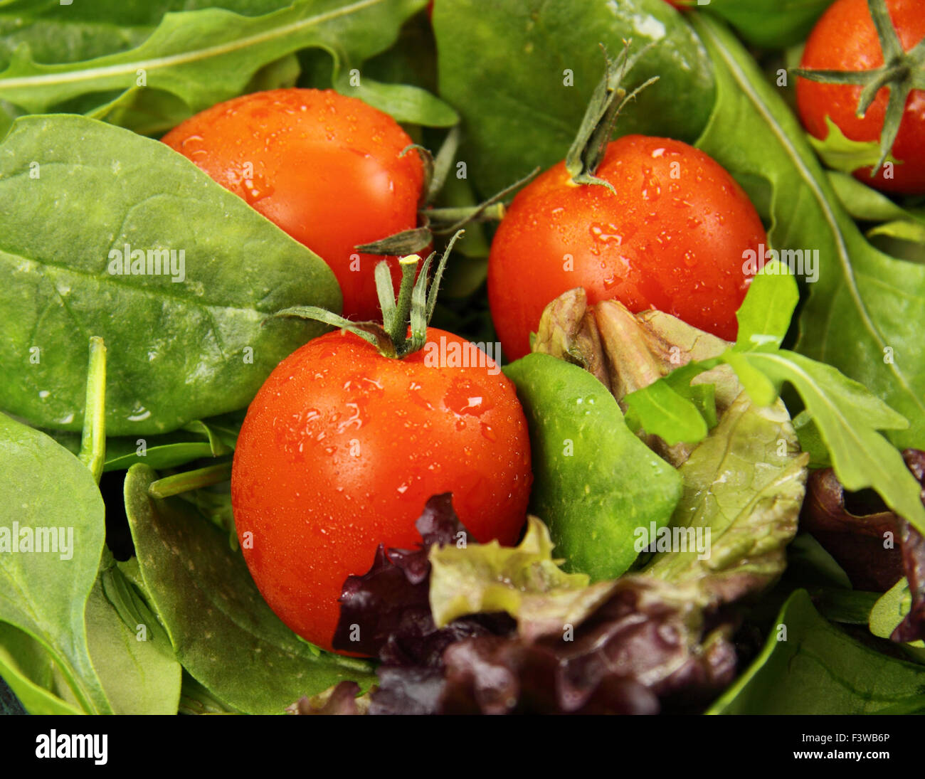 Tomatoes And Lettuce Stock Photo Alamy tomatoes-and-lettuce-stock-photo-alamy