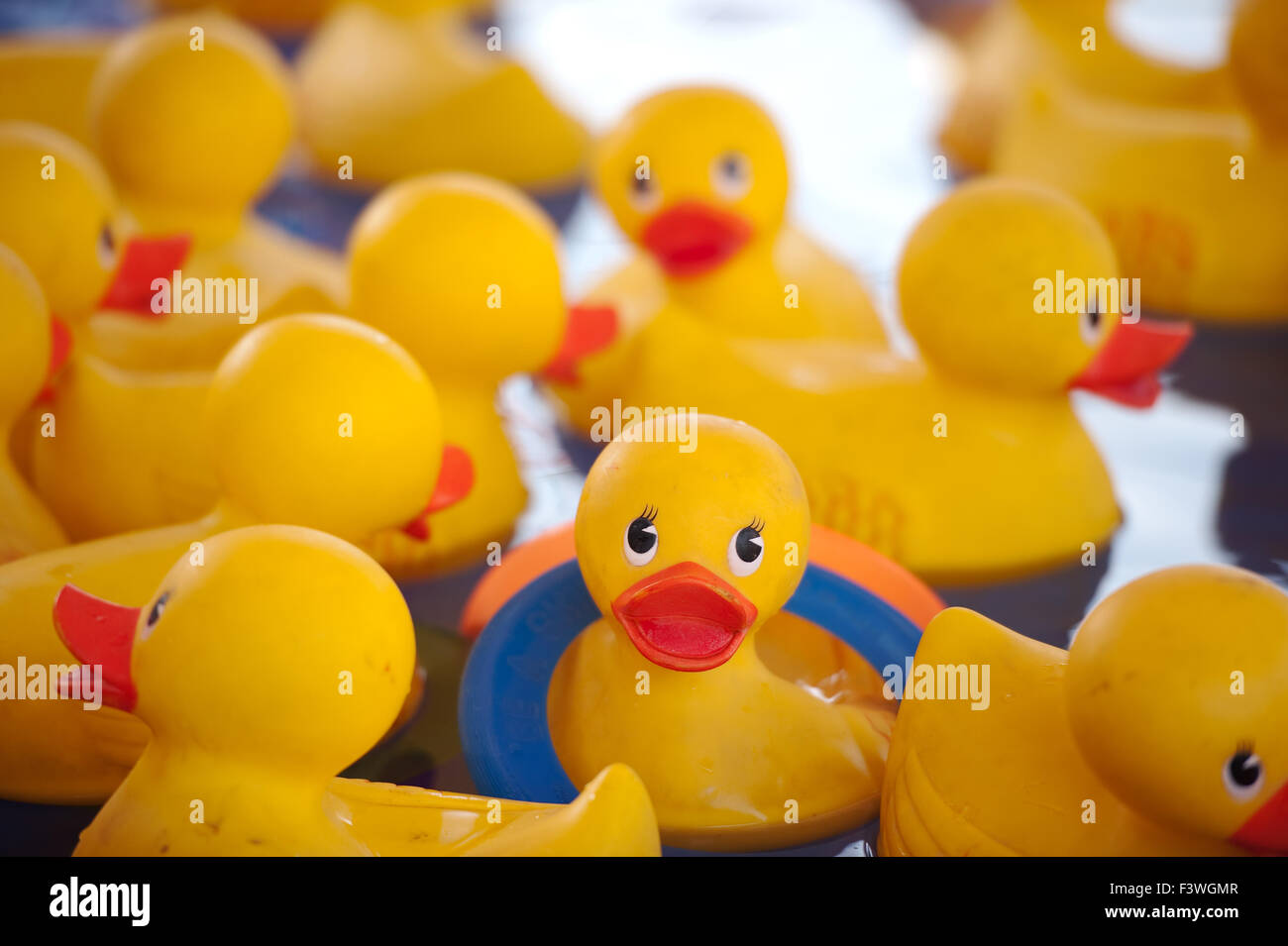 rubber duckies at a carnaval Stock Photo