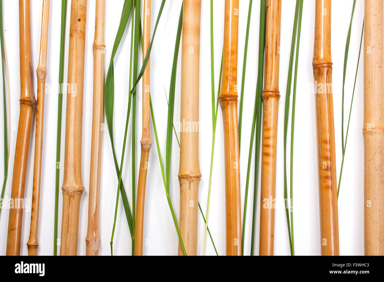 bamboo Stock Photo