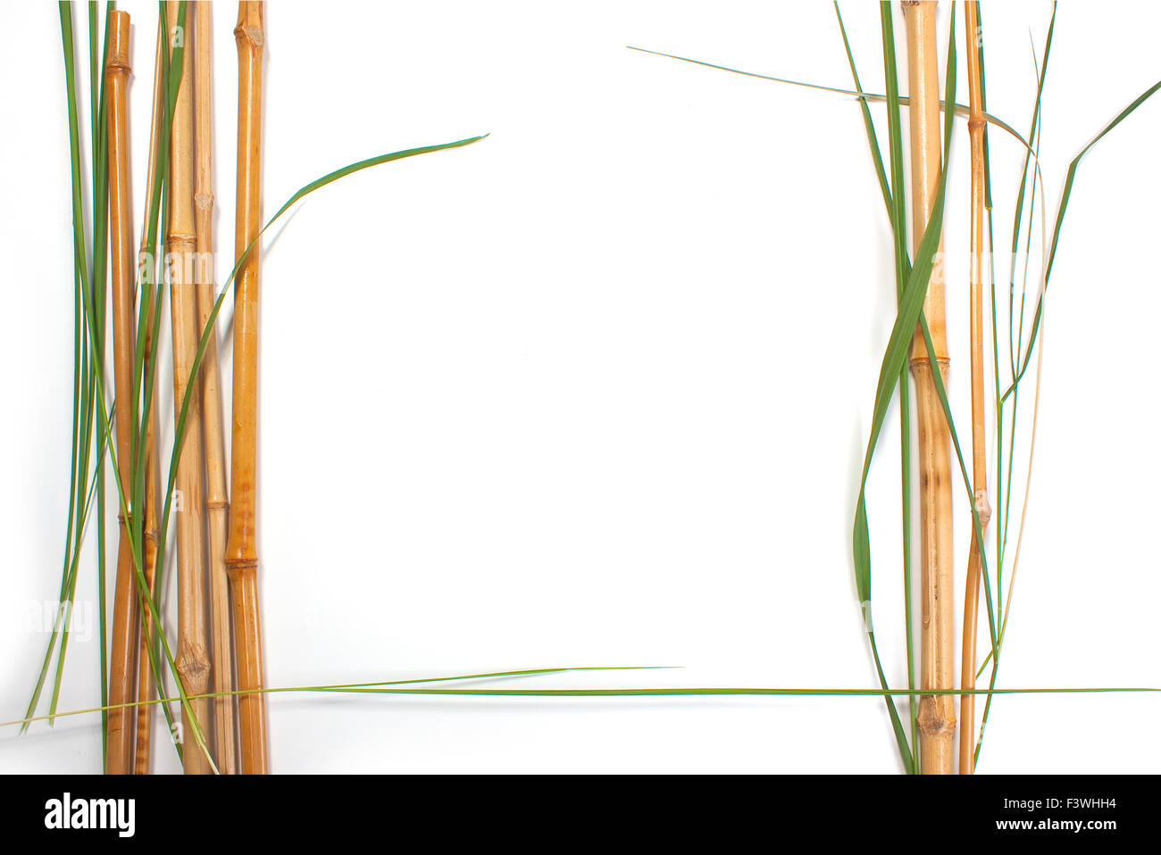 Frame from bamboo Stock Photo