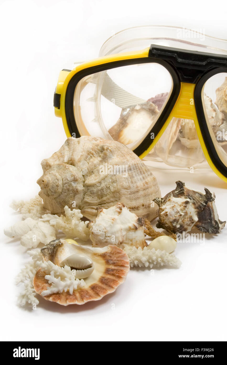 Download Yellow Diving Mask With Sea Shells Stock Photo Alamy PSD Mockup Templates