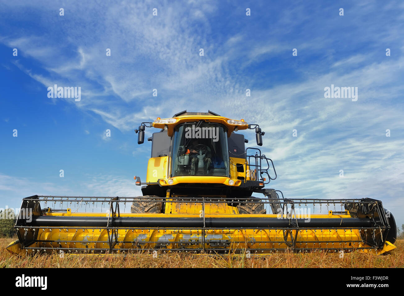 combine harvester in the field Stock Photo